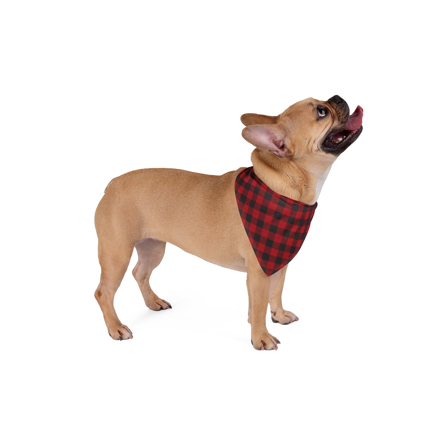 Pet Bandana - Buffalo Plaid Stylish Dog Scarf for Holiday Accessories and Pet Fashion