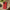Impact-Resistant Phone Case - Lipstick Red