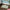 Pet Food Mat- Watercolor Christmas Trees