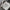 Premium Wrapping Paper - Charming Nutcrackers